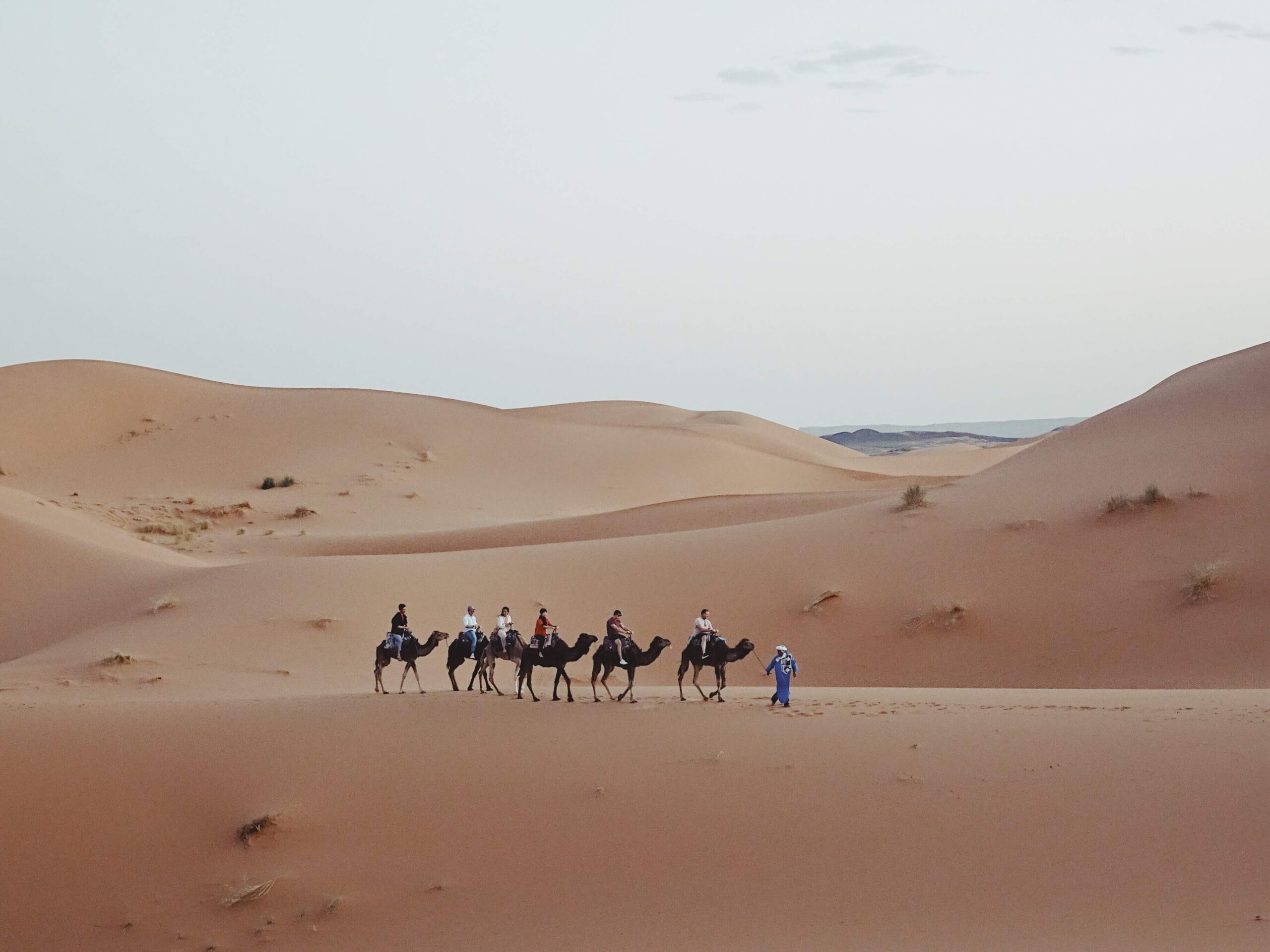 Camel Riding Sahara Desert