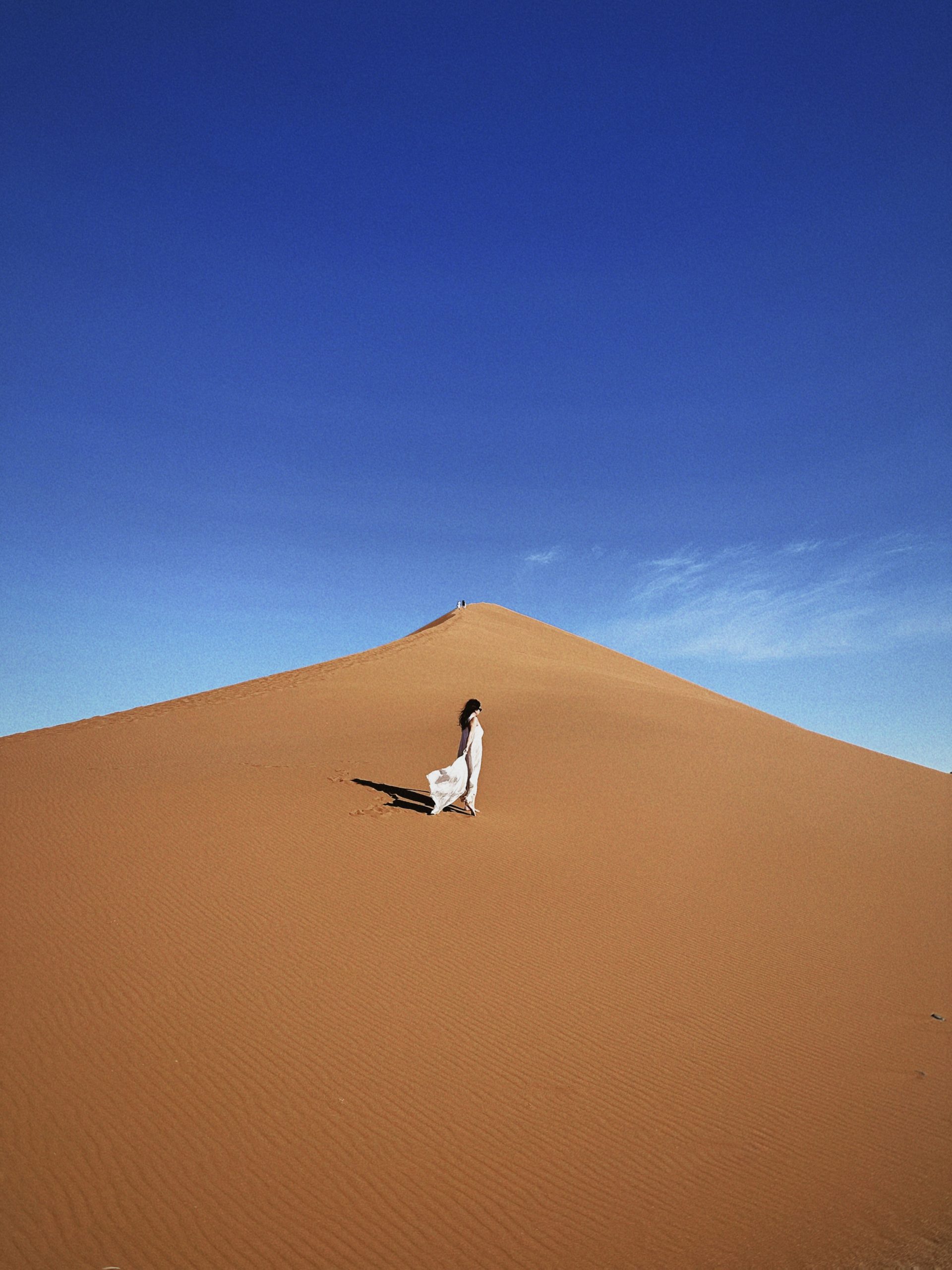 Betty walking across the Namib Desert