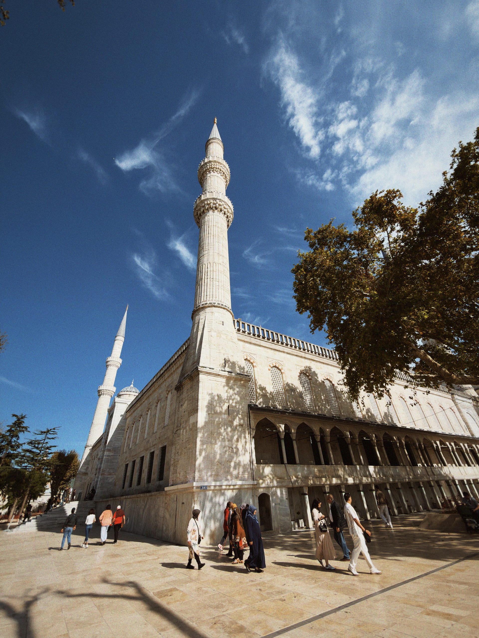Blue Mosque domes and minarets rising above Sultanahmet in Istanbul